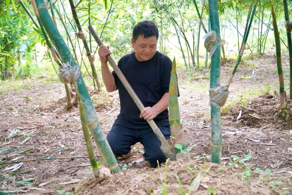 Ông Nông Văn Quay, thôn Nặm Rịa.