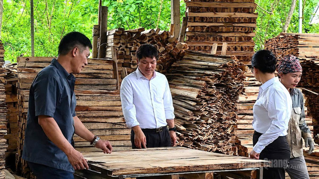 Từ nguồn vốn vay của Agribank, HTX Thương mại sản xuất và Chế biến lâm sản Hoàng Tuyên đã sản xuất kinh doanh lâm sản hiệu quả.