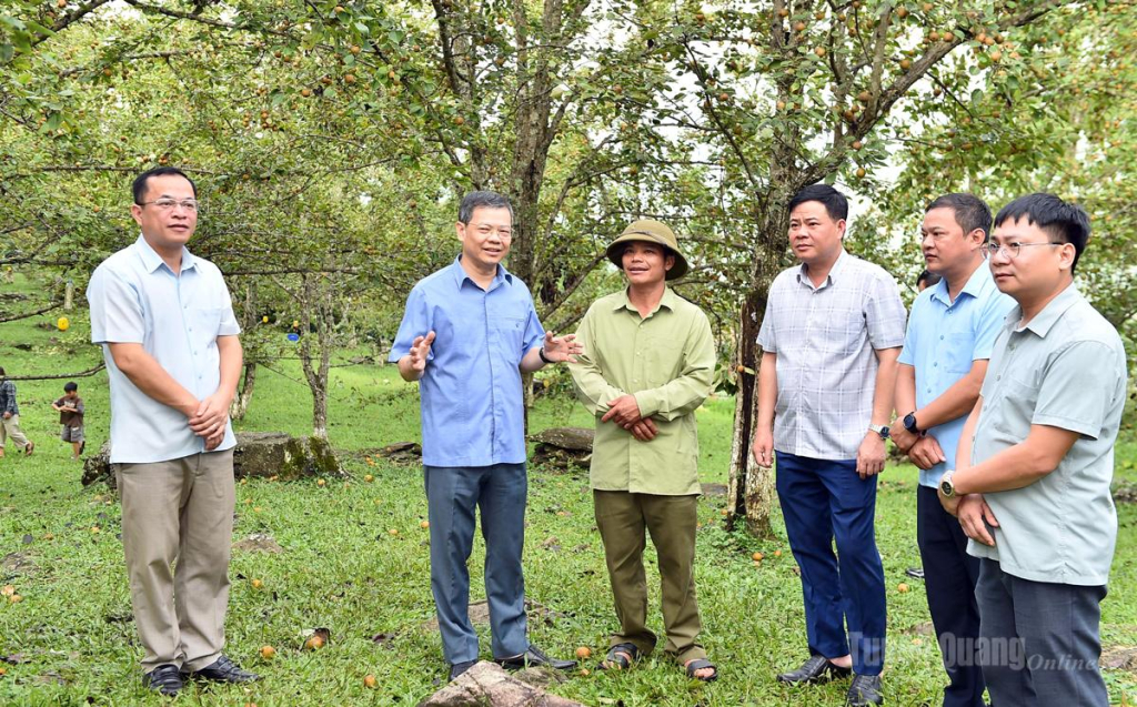Đồng chí Chủ tịch HĐND tỉnh Nguyễn Văn Sơn trao đổi với người trồng lê xã Hồng Thái.