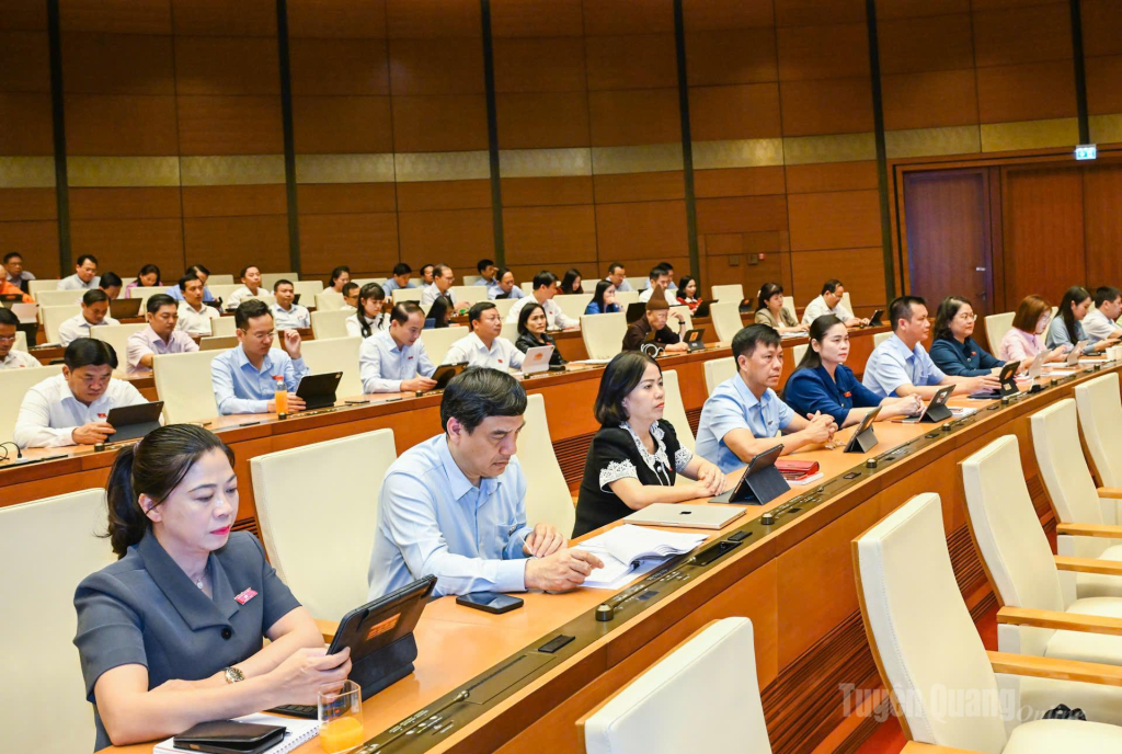 Đồng chí Lê Thị Kim Dung, Phó Bí thư Thường trực Tỉnh ủy, Trưởng đoàn ĐBQH tỉnh Tuyên Quang khóa XVI  và Đoàn ĐBQH tỉnh tham dự phiên họp.