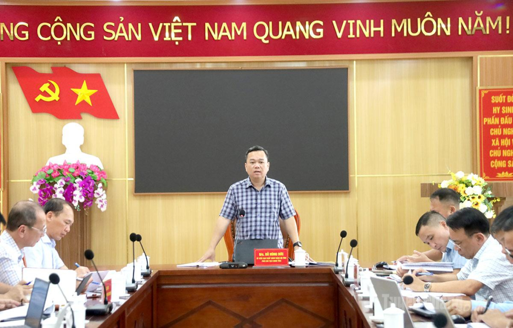 Phó Chủ tịch UBND tỉnh Đỗ Hùng Đức kết luận buổi làm việc.