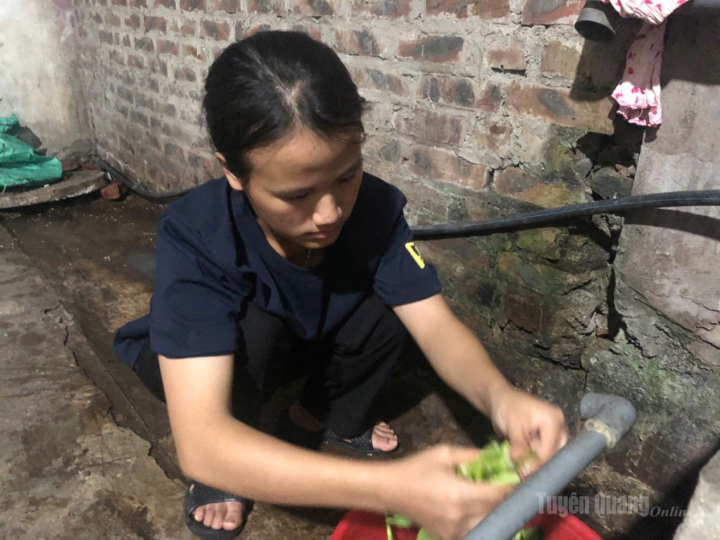 Những bữa cơm rau đạm bạc được em Hoàng Thị Hải Yến tự nấu tại khu trọ ở Công ty TNHH Mgitsuba Việt Nam - Hưng Yên để tiết kiệm chi phí cho học tập.