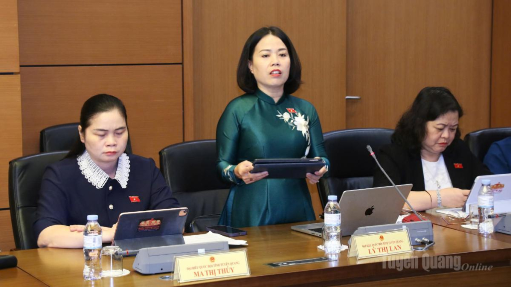 Đại biểu Lý Thị Lan phát biểu ý kiến thảo luận tại tổ.