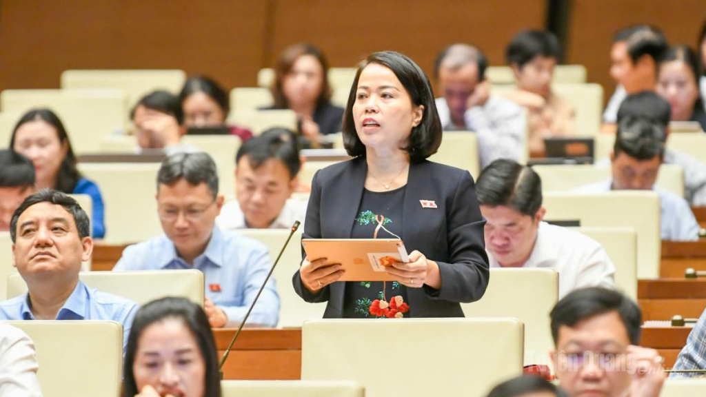 Đại biểu Lý Thị Lan phát biểu ý kiến thảo luận  về chủ trương đầu tư Chương trình MTQG phát triển văn hóa- xã hội, nông thôn, dân tộc và miền núi giai đoạn 2026 -2035.