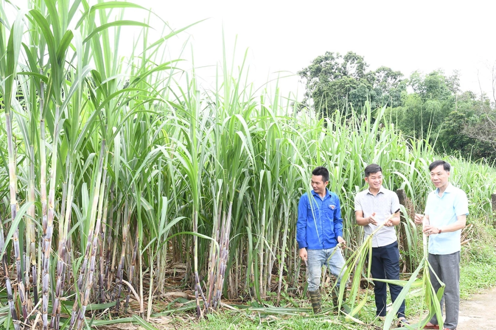 Cán bộ xã Bạch Xa, cán bộ thôn Minh Khương nắm tình hình đời sống của Nhân dân.