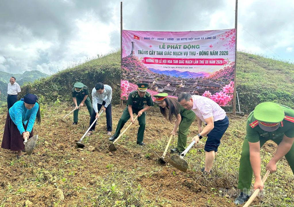 Lãnh đạo xã, lực lượng vũ trang và bà con nhân dân xã Lũng Cú tham gia trồng hoa tam giác mạch.