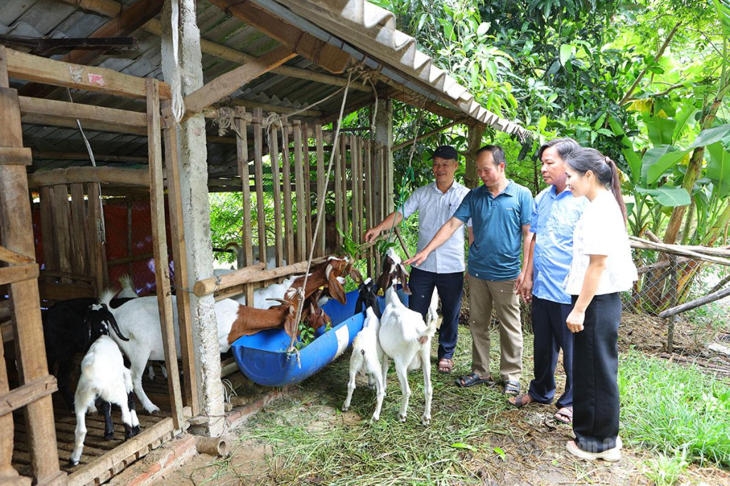 Cán bộ thú y xã Trường Sinh cùng người dân thôn Đồng Bừa kiểm tra đàn dê giống từ dự án liên kết sinh kế.
