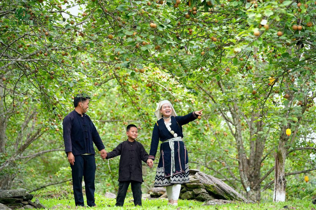 Du khách trải nghiệm vườn lê xã Hồng Thái.