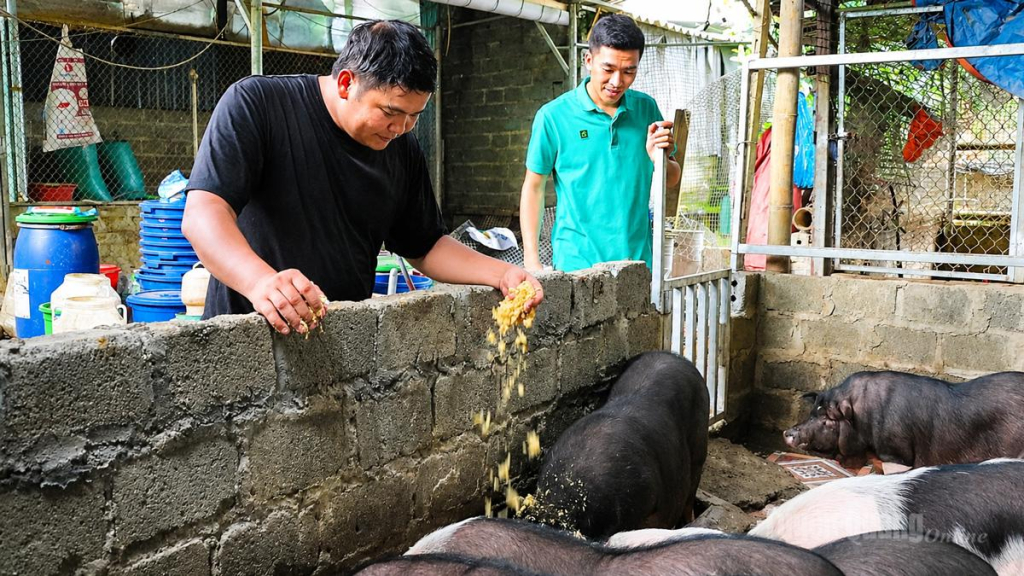 Cán bộ xã Bắc Mê thăm mô hình chăn nuôi của gia đình anh Bùi Duy Khương, thôn Nà Nèn, xã Bắc Mê.