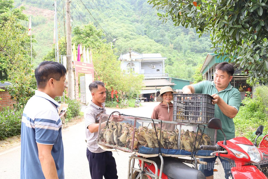 Người dân xã Tân Long nhận con giống từ nguồn hỗ trợ của Chương trình mục tiêu quốc gia giảm nghèo bền vững.