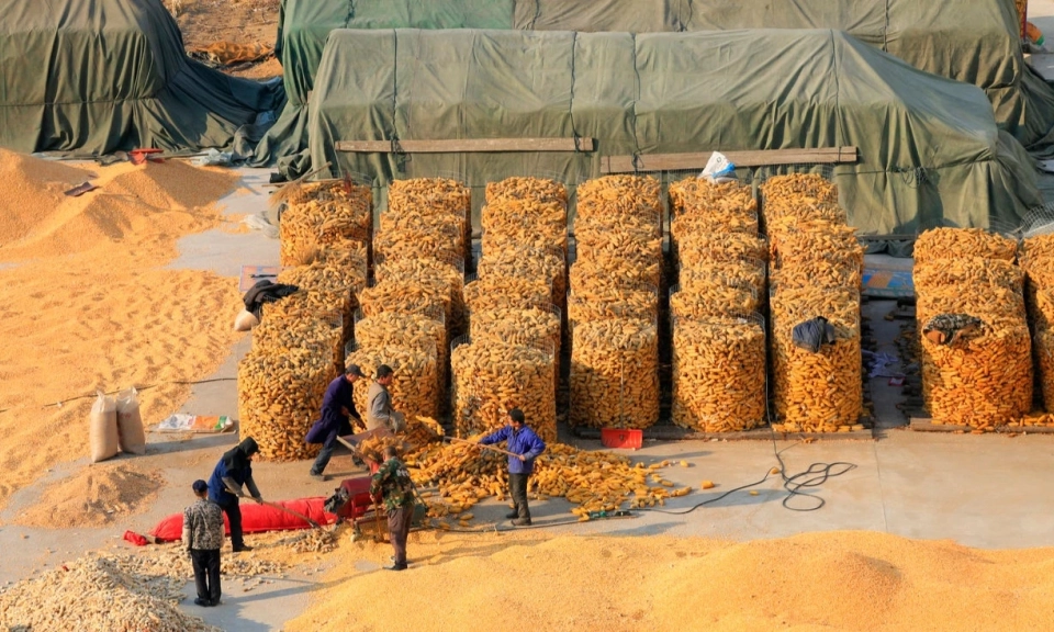 Trung Quốc c&ocirc;ng bố kế hoạch 5 năm bảo đảm an ninh lương thực v&agrave; chấn hưng n&ocirc;ng th&ocirc;n