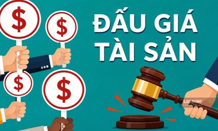 Hải quan đấu gi&aacute; nhiều l&ocirc; t&agrave;i sản tịch thu, c&oacute; l&ocirc; khởi điểm hơn 1 tỉ đồng