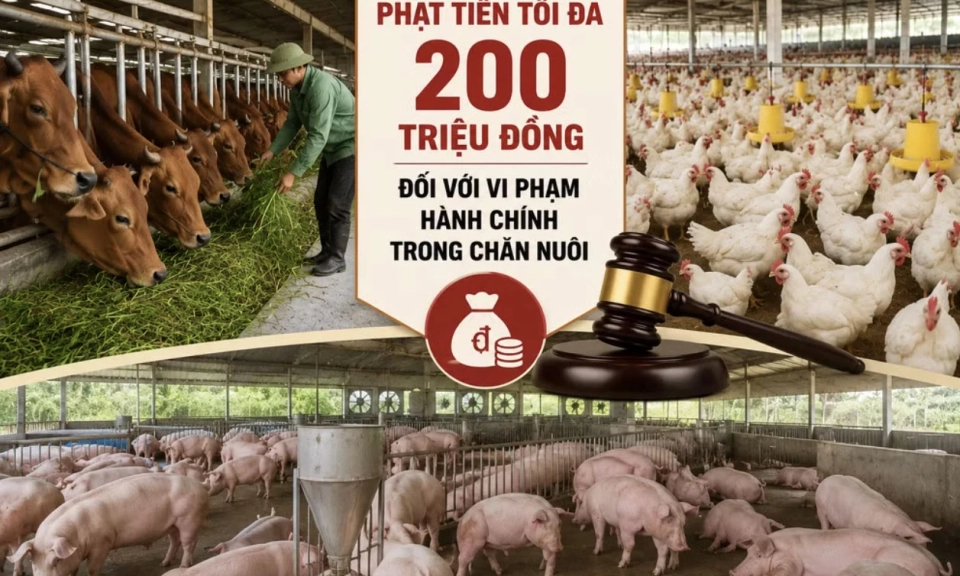 Ch&iacute;nh s&aacute;ch mới c&oacute; hiệu lực từ th&aacute;ng 8