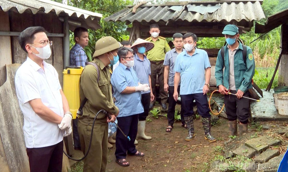 Kiểm tra ph&ograve;ng, chống dịch bệnh động vật v&agrave; triển khai c&aacute;c m&ocirc; h&igrave;nh chuyển đổi c&acirc;y trồng