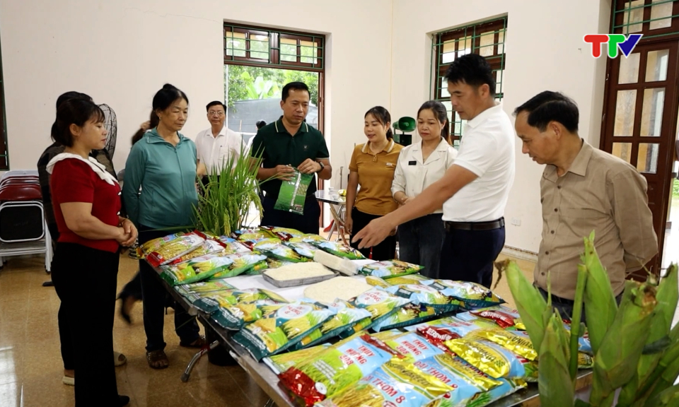 Chủ trương &ldquo;3 c&acirc;y 3 con&rdquo; hướng đi bền vững 