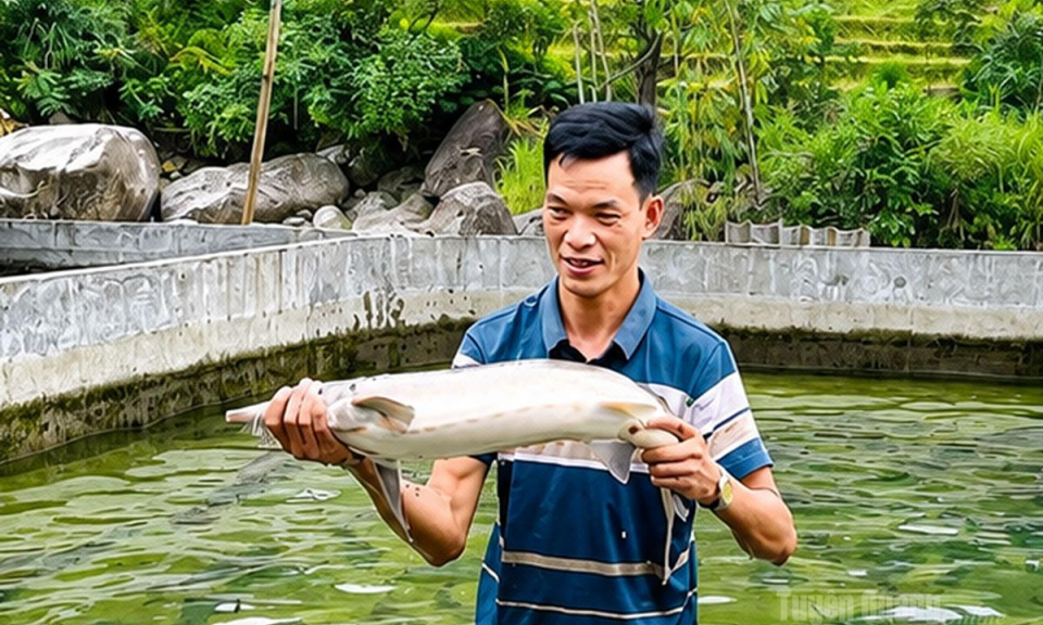 C&aacute; tầm T&acirc;y C&ocirc;n Lĩnh