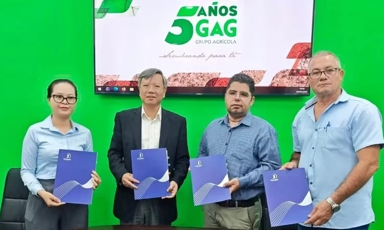 Việt Nam b&agrave;n giao hơn 470 tấn gạo sản xuất tại Cuba cho c&aacute;c đối t&aacute;c