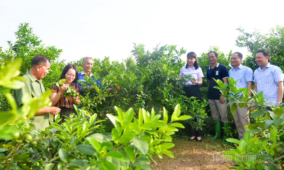 Thước đo năng lực c&aacute;n bộ