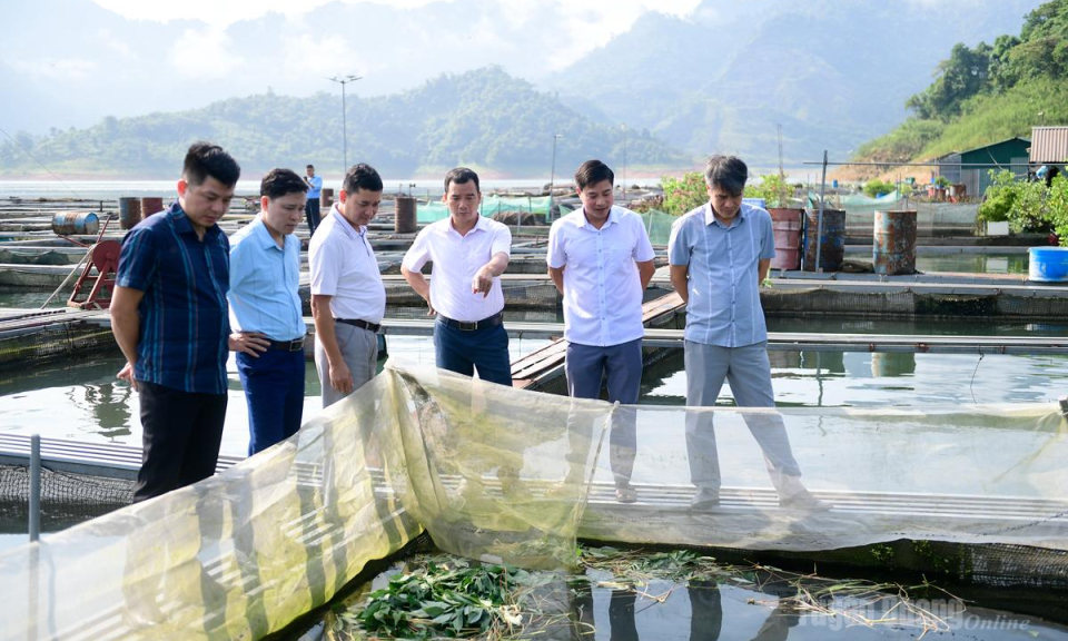 Trao đổi kinh nghiệm vận h&agrave;nh ch&iacute;nh quyền địa phương 2 cấp