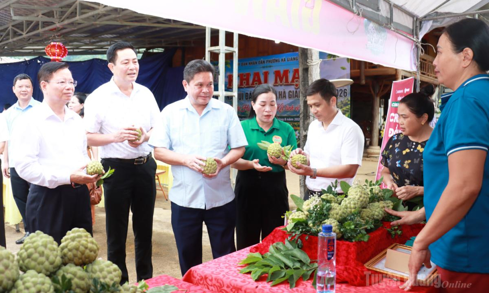 Khai mạc Tuần lễ Na N&uacute;i đ&aacute; phường H&agrave; Giang 2