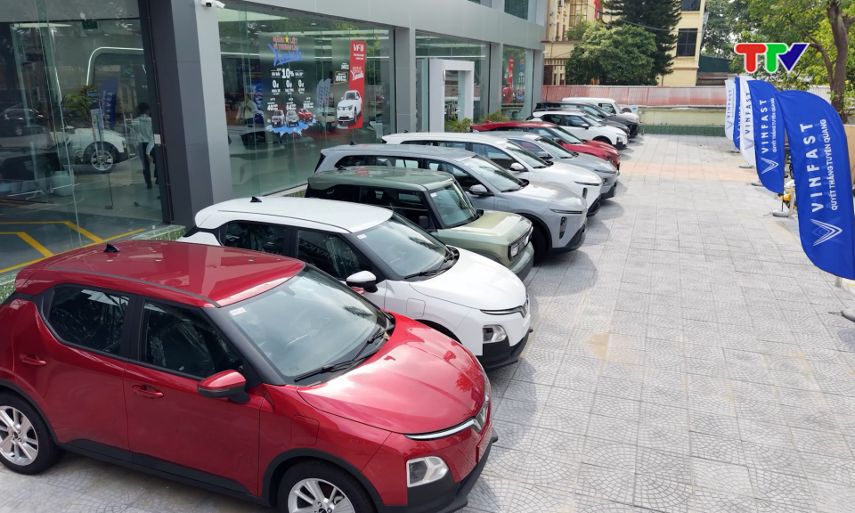 Ng&agrave;nh Thuế Tuy&ecirc;n Quang tăng tốc thực hiện chỉ ti&ecirc;u thu ng&acirc;n s&aacute;ch nh&agrave; nước