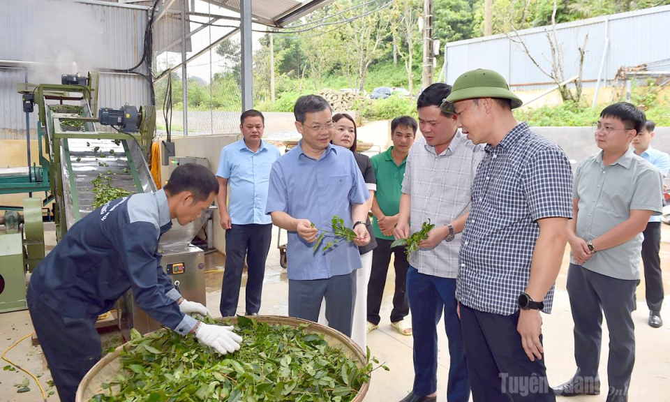 Chủ tịch HĐND tỉnh Nguyễn Văn Sơn khảo s&aacute;t c&aacute;c m&ocirc; h&igrave;nh ch&egrave; tại x&atilde; Hồng Th&aacute;i