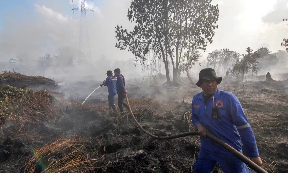Indonesia ứng ph&oacute; ch&aacute;y rừng tại hai n&uacute;i lửa Bromo v&agrave; Gede