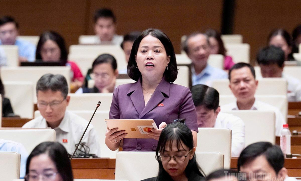 Đo&agrave;n ĐBQH tỉnh Tuy&ecirc;n Quang g&oacute;p &yacute; ho&agrave;n thiện hai dự &aacute;n luật