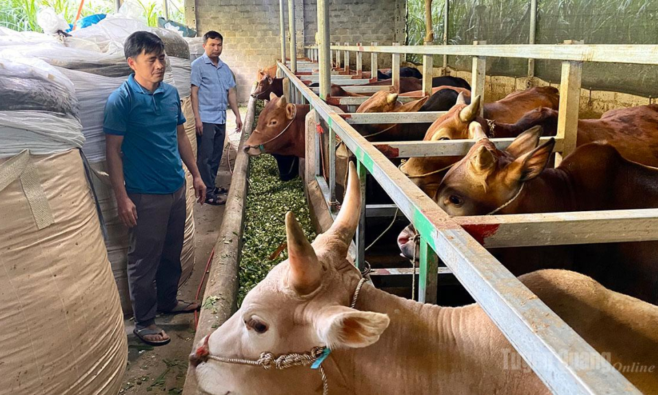 Thay đổi nếp nghĩ, c&aacute;ch l&agrave;m