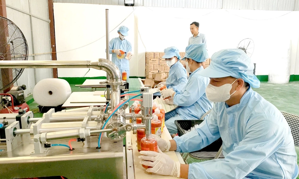 Ph&aacute;t triển hợp t&aacute;c x&atilde; đa ng&agrave;nh, đa dịch vụ