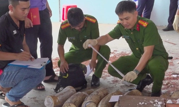 Gia Lai ph&aacute; vụ giấu gần 1,2 tấn ng&agrave; voi trong l&ocirc; gỗ từ Congo
