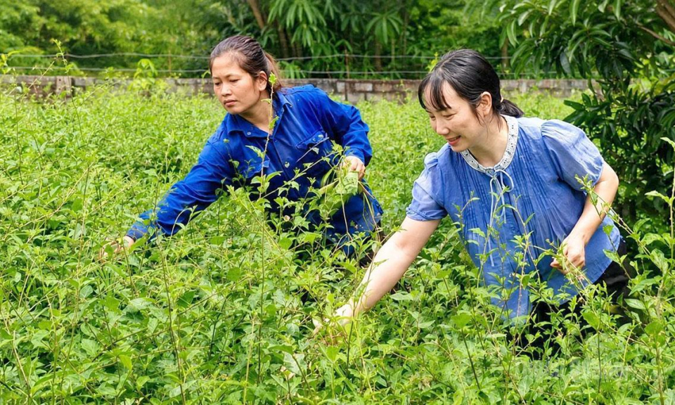 Đ&aacute;nh thức nguồn lực đất đai