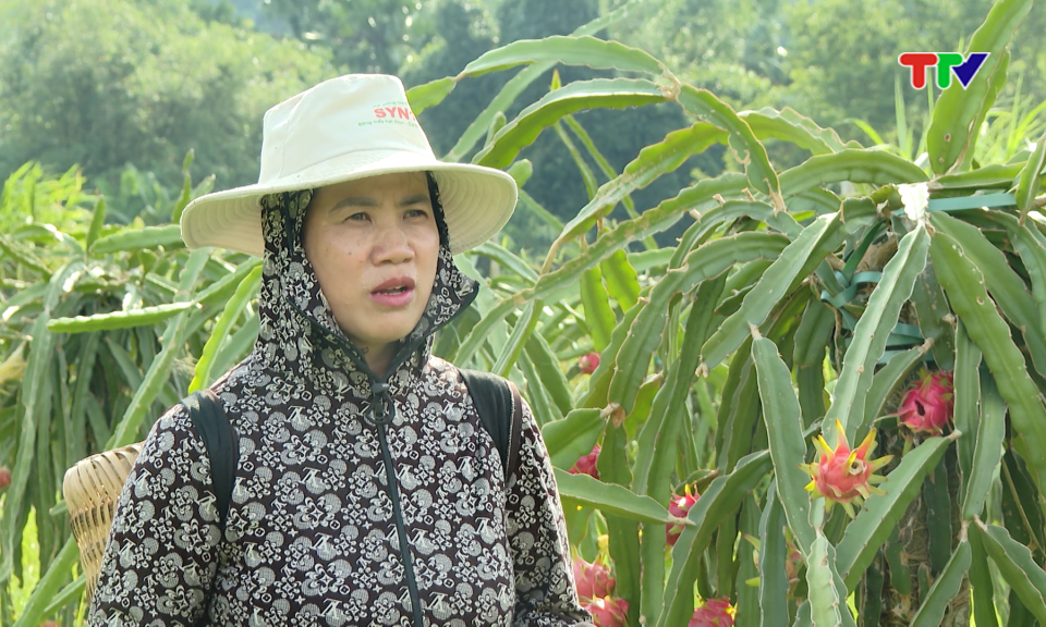 Đổi thay từ những m&ocirc; h&igrave;nh sinh kế