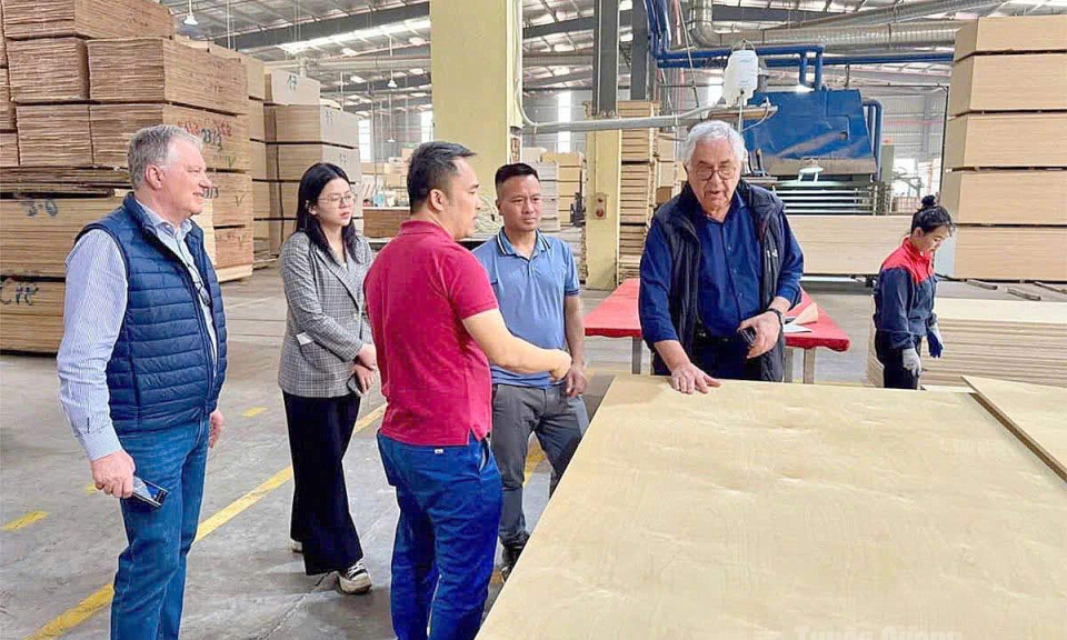 X&acirc;y dựng hệ sinh th&aacute;i tận dụng FTA