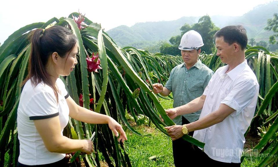 Ph&aacute;t triển kinh tế hộ ở Đồng Y&ecirc;n