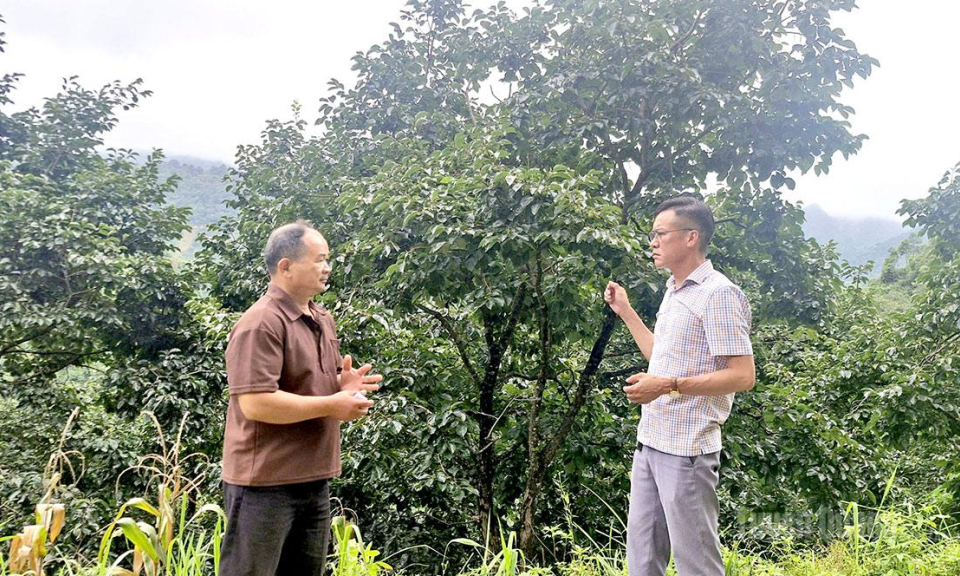 Đ&aacute;nh thức tiềm năng kinh tế ở Nghĩa Thuận