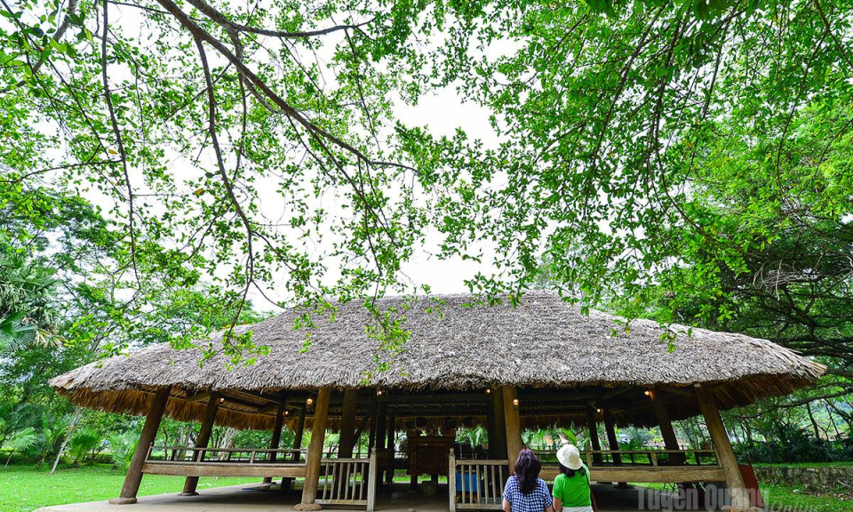M&ugrave;a thu trở lại T&acirc;n Tr&agrave;o