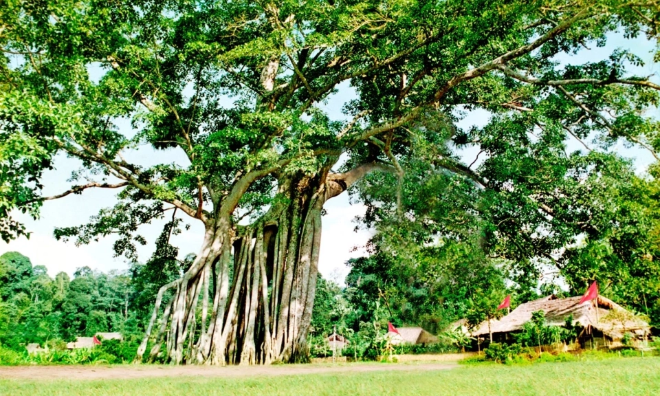 Ph&aacute;t huy truyền thống C&aacute;ch mạng Th&aacute;ng T&aacute;m, viết tiếp trang sử tự h&agrave;o