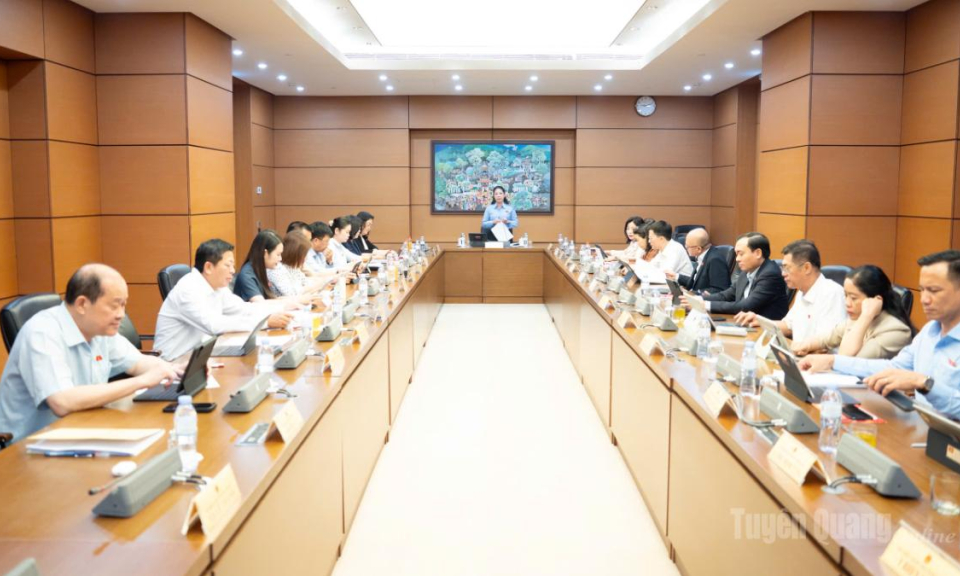 Đại biểu Quốc hội tỉnh Tuy&ecirc;n Quang g&oacute;p &yacute; nhiều nội dung về ng&acirc;n s&aacute;ch, chương tr&igrave;nh mục ti&ecirc;u quốc gia, đất đai v&agrave; nh&agrave; ở