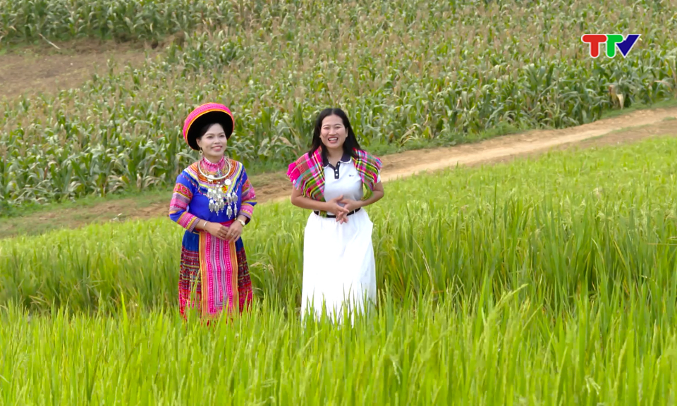 Điểm hẹn xứ Tuy&ecirc;n| Về miền thảo nguy&ecirc;n xanh