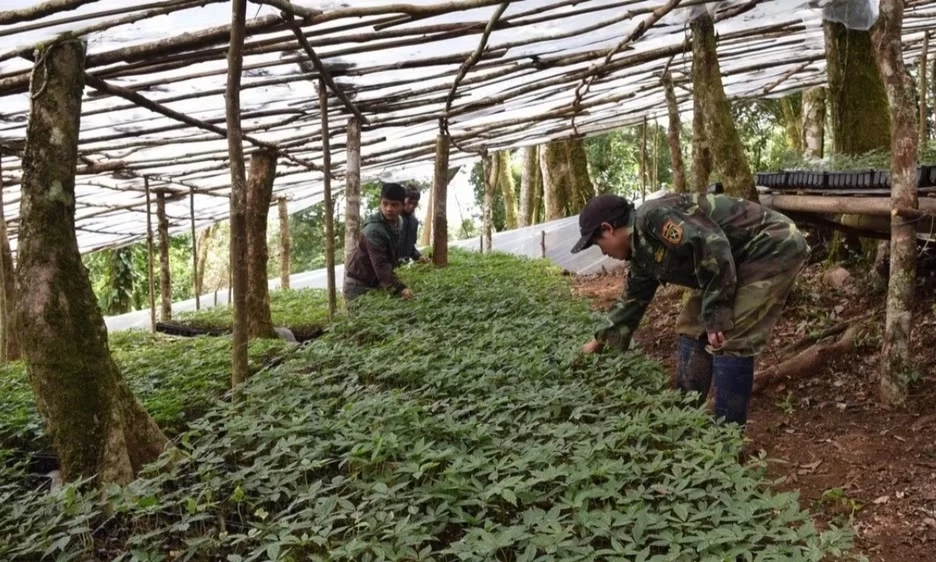 Để t&agrave;i sản tr&iacute; tuệ trở th&agrave;nh nguồn lực ph&aacute;t triển