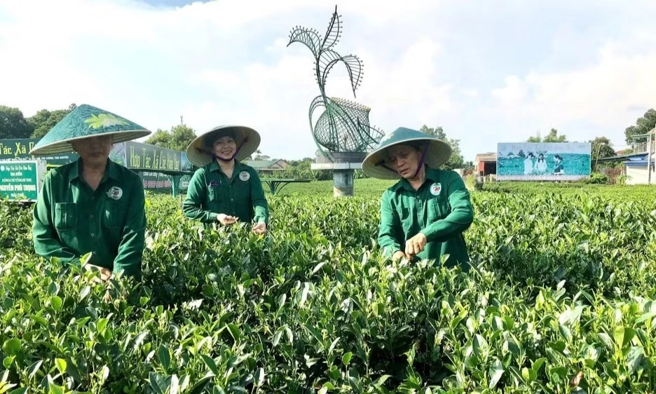 Chuyển đổi số trong sản xuất n&ocirc;ng nghiệp