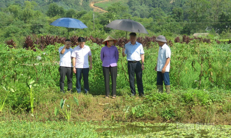 Đo&agrave;n c&ocirc;ng t&aacute;c số 567 kiểm tra, gi&aacute;m s&aacute;t tại x&atilde; Đồng Y&ecirc;n