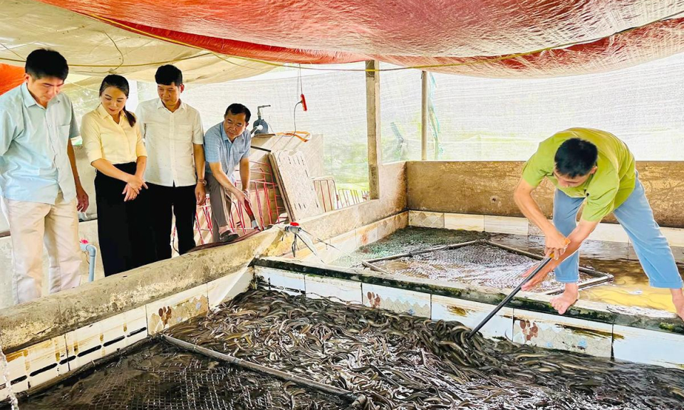 H&ograve;a An nh&acirc;n rộng m&ocirc; h&igrave;nh kinh tế mới