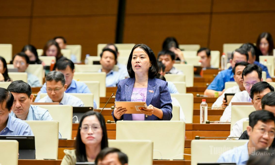 Đại biểu L&yacute; Thị Lan: Cần kết nối ch&iacute;nh s&aacute;ch với nguồn đất để giải quyết căn cơ đất ở, đất sản xuất cho đồng b&agrave;o d&acirc;n tộc thiểu số