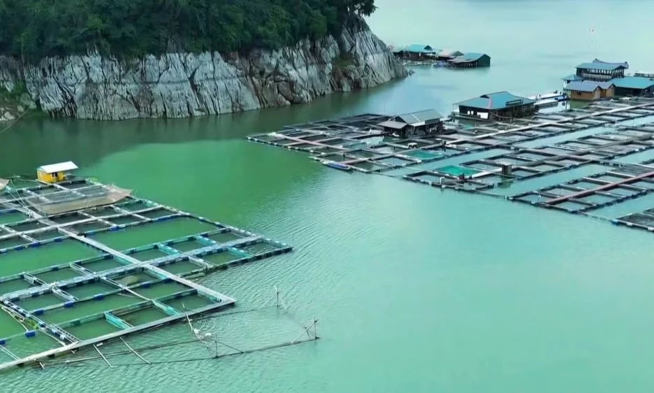 Ứng dụng khoa học cho chuỗi gi&aacute; trị n&ocirc;ng nghiệp xanh