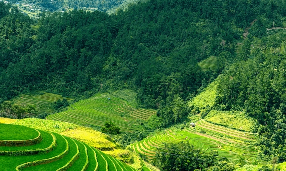 Di sản ruộng bậc thang M&ugrave; Cang Chải trở th&agrave;nh cảm hứng thời trang độc đ&aacute;o