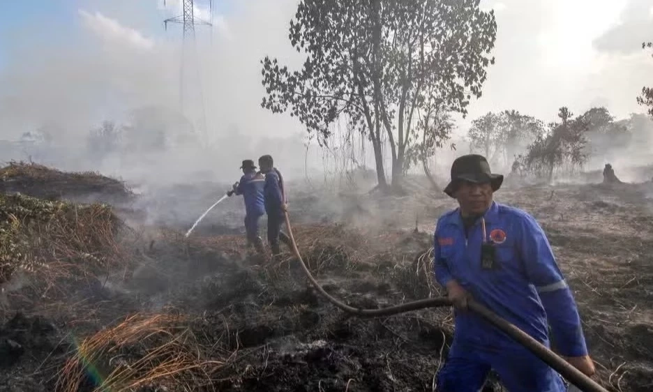 Indonesia huy động tổng lực ứng ph&oacute; ch&aacute;y rừng
