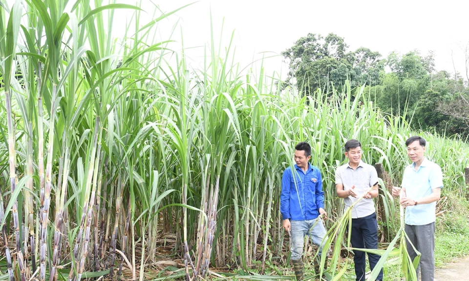 Giải quyết chế độ đối với c&aacute;n bộ d&ocirc;i dư
