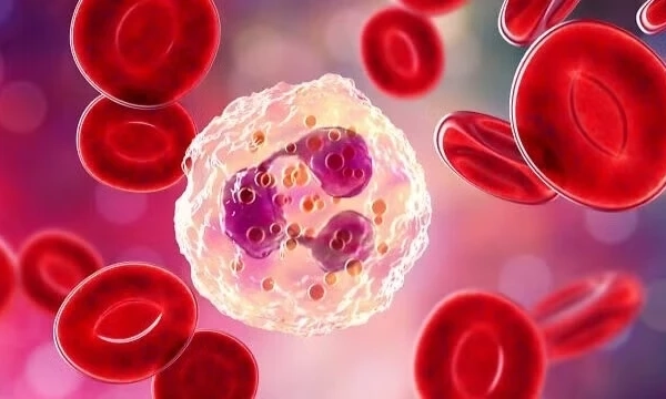 Lần đầu ti&ecirc;n ph&aacute;t triển thuốc dựa tr&ecirc;n virus điều trị ung thư thực quản
